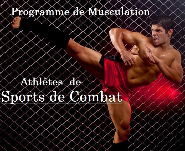 programme musculation sport de combat