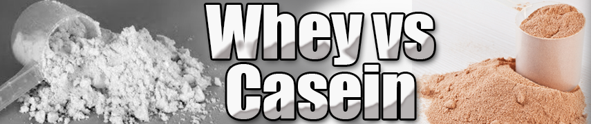 whey vs caseine 
