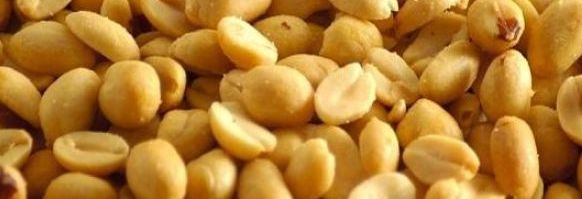 cacahuetes-arachide